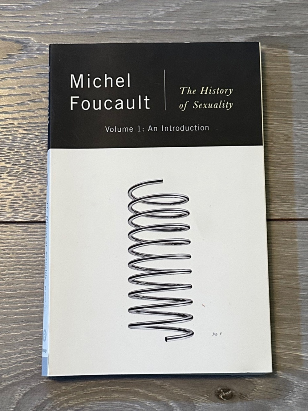 Michel Foucault The History of Sexuality Vol. 1 Intro